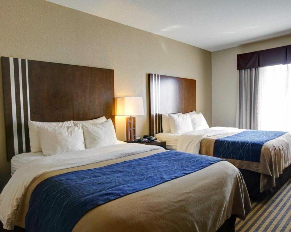 Comfort Inn & Suites Navasota Esterno foto