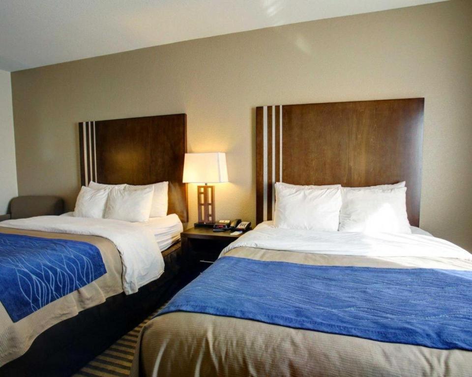 Comfort Inn & Suites Navasota Esterno foto