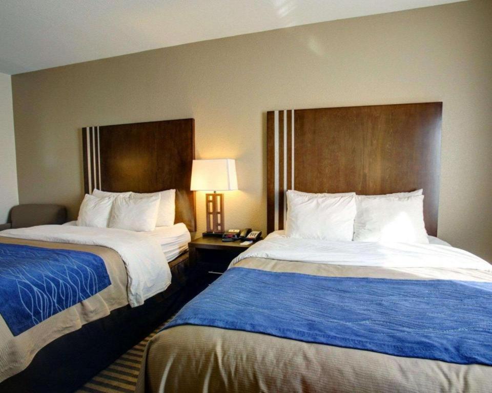 Comfort Inn & Suites Navasota Esterno foto