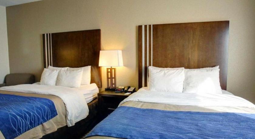 Comfort Inn & Suites Navasota Esterno foto