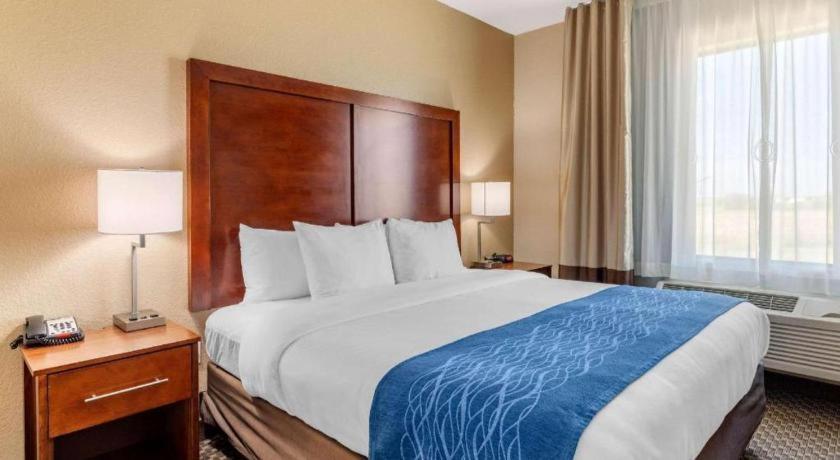 Comfort Inn & Suites Navasota Esterno foto